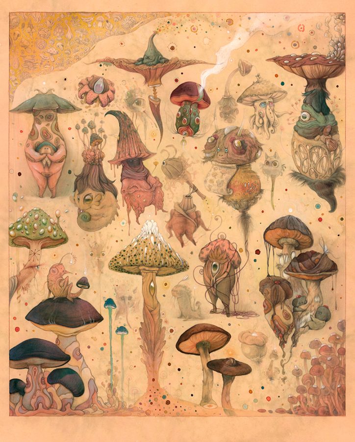 “The Fungi Dialogue” 2023