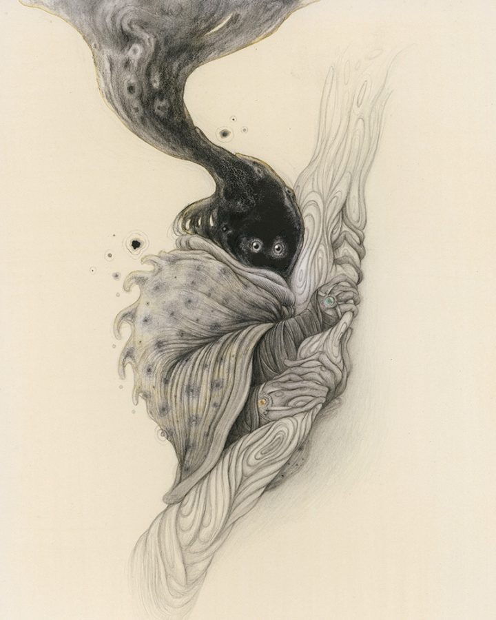 “Forest Watcher” 2023