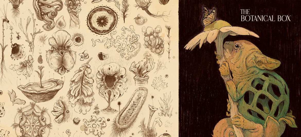 The_Botanical_Box_Soon_1