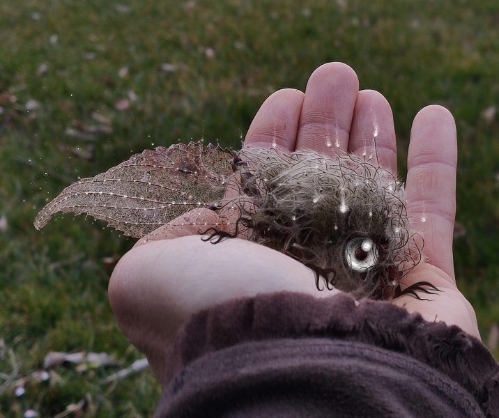 “Triturus” 2021